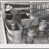 Member of the Dairymen's Cooperative Creamery, cooling fresh milk in water trough on his farm. Caldwell, Canyon County, Idaho