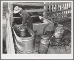 Member of the Dairymen's Cooperative Creamery, cooling fresh milk in water trough on his farm. Caldwell, Canyon County, Idaho