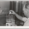 Taking samples for Babcock test for butterfat at the Dairymen's Cooperative Creamery. Caldwell, Canyon County, Idaho