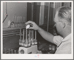 Taking samples for Babcock test for butterfat at the Dairymen's Cooperative Creamery. Caldwell, Canyon County, Idaho