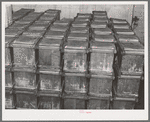 Tubs of butter at the Dairymen's Cooperative Creamery. Caldwell, Canyon County, Idaho