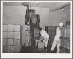 Butter going out of Dairymen's Cooperative Creamery for shipment. Caldwell, Canyon County, Idaho