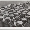 Milk cans at the Dairymen's Cooperative Creamery. Caldwell, Canyon County, Idaho. Each member has a number and this number is painted on his milk cans