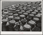 Milk cans at the Dairymen's Cooperative Creamery. Caldwell, Canyon County, Idaho. Each member has a number and this number is painted on his milk cans