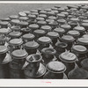 Milk cans at the Dairymen's Cooperative Creamery. Caldwell, Canyon County, Idaho. Each member has a number and this number is painted on his milk cans