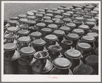 Milk cans at the Dairymen's Cooperative Creamery. Caldwell, Canyon County, Idaho. Each member has a number and this number is painted on his milk cans