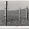 Fence on Cruzen Ranch. Valley County, Idaho