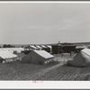 Tents, power unit and laundry shelters at the FSA (Farm Security Administration) migratory farm labor camp mobile unit. Athena Oregon