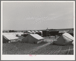 Tents, power unit and laundry shelters at the FSA (Farm Security Administration) migratory farm labor camp mobile unit. Athena Oregon