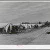 Tents at the FSA (Farm Security Administration) migratory farm labor camp mobile unit. Athena, Oregon