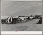 Tents at the FSA (Farm Security Administration) migratory farm labor camp mobile unit. Athena, Oregon