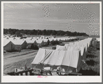 Tents at the FSA (Farm Security Administration) migratory farm labor camp mobile unit. Athena, Oregon