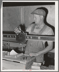 Weighing truckload of shelled (bulk) wheat at elevator. Eureka, Walla Walla County, Washington