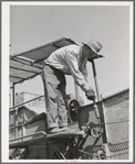 Greasing gear on mule-drawn combine. Walla Walla County, Washington