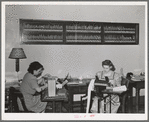 Office workers of the Walla Walla Grain Growers Association. Walla, Walla, Washington