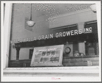 In the office of the Walla Walla Grain Growers Association. Walla Walla, Washington. This is a cooperative association