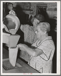 Putting samples of wheat into sack of central sampling office. Walla Walla, Washington