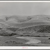 Wheat field, Walla Walla County, Washington. Combines had already been through the field in background