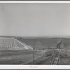 Wheat land and railroad. Eureka Flats, Walla Walla County, Washington