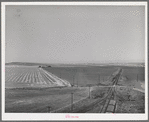 Wheat land and railroad. Eureka Flats, Walla Walla County, Washington