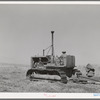 Caterpillar diesel tractor which draws combine in wheat fields on Eureka Flats. Walla Walla County, Washington