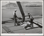 Loading bulk wheat into hole of barge for shipment from Port Kelly to Portland. Walla Walla County, Washington