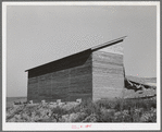 Bulk wheat elevator on farm. This elevator was built from plans drawn up and furnished by the State Extension Service and AAA (Agricultural Adjustment Administration). These farm elevators are designed to take care of the bumper crop of wheat this year