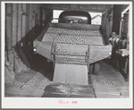 Wheat being emptied from truck into bin of wheat elevator. Eureka Flats, Walla Walla County, Washington