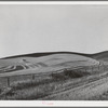 Wheat fields, combine working. Walla Walla County, Washington