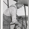 Oiling the combine. Walla Walla County, Washington