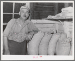 He gathers samples of wheat for a central sampling and testing station. Walla Walla County, Washington