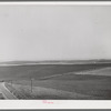 Wheat land. Eureka Flats, Walla Walla County, Washington