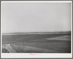 Wheat land. Eureka Flats, Walla Walla County, Washington