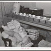 Samples of wheat to be tested. State inspector's office. Walla Walla, Washington