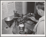 State inspector determines weight per bushel of wheat. Walla Walla, Washington