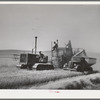 Bulk wheat is only delivered from combine to truck in field. Combine and tractor didn't stop and the truck drove along by the side. Some wheat is sacked on the combine. Walla Walla County, Washington