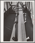 Bulk wheat is delivered from combine to truck. Wheat on conveyer belt being taken from elevator to barge for shipment to Portland. Walla Walla County, Washington
