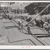 Loading bulk wheat into barge at Port Kelly for shipment to Portland. Walla Walla County, Washington