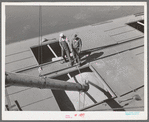 Loading bulk into barge at Port Kelly for shipment to Portland. Walla Walla County, Washington