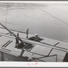 Loading bulk into barge at Port Kelly for shipment to Portland. Walla Walla County, Washington