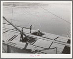 Loading bulk into barge at Port Kelly for shipment to Portland. Walla Walla County, Washington