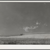 Working on combine. Walla Walla County, Washington