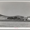 Farmstead and wheat land. Whitman County, Washington