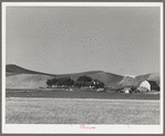 Farmstead and wheat land. Whitman County, Washington