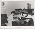 Office worker in wheat broker's office. Whitman County, Washington