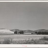 Farmstead and wheatland. Whitman County, Washington