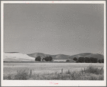 Farmstead and wheatland. Whitman County, Washington