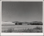 Farmstead and wheatland. Whitman County, Washington