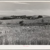 Farmstead and wheat land, Whitman County, Washington