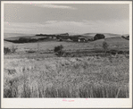 Farmstead and wheat land, Whitman County, Washington